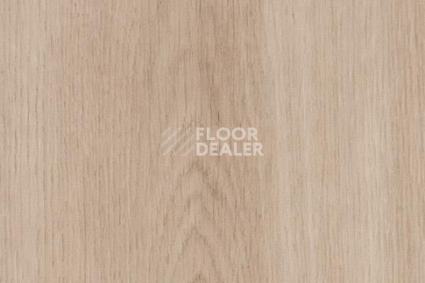 Виниловая плитка ПВХ FORBO Allura Decibel 8WSM03-3WSM03 dune smooth oak фото 1 | FLOORDEALER